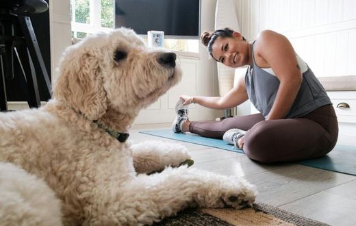 Singaporean Alison Yuen takes an online fitness class in her Hong Kong home, watched by her golden labradoodle Whelan