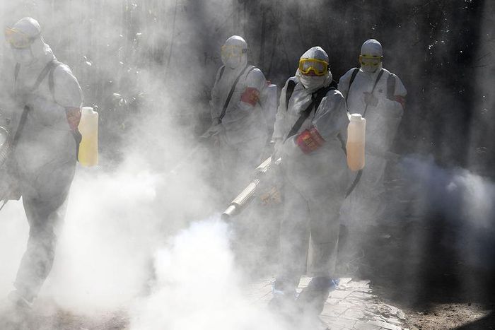 File image of a fumigation process. City Hall to conduct air fumigation over Coronavirus - Nairobi Public Health director Wilson Lang'at