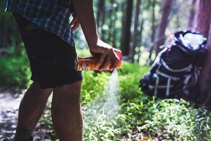 What is DEET and How Safe Is it?