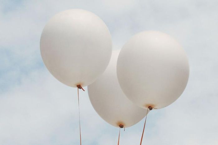 Dr. Pimple Popper Pops a 'Nice' Neck Whitehead