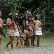 Waorani organizations have warned COVID-19's spread could be "catastrophic and highly lethal" for their community, which is vulnerable to diseases