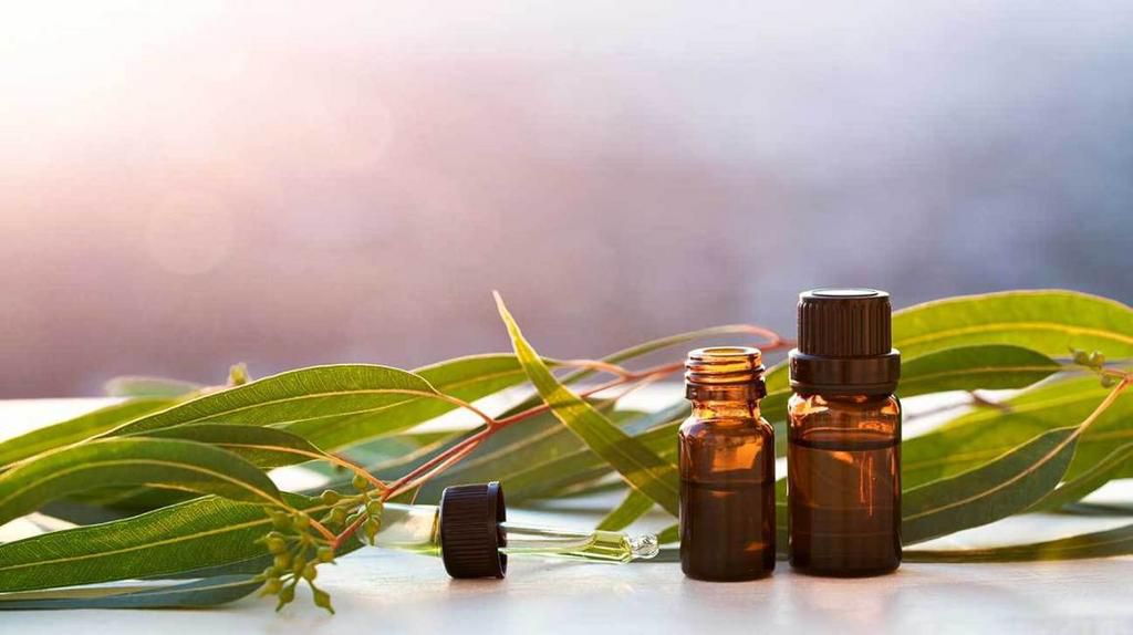 Eucalyptus oil (Healthline)