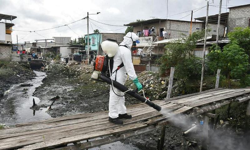The government has collected 1,400 bodies from homes and hospitals in Guayaquil
