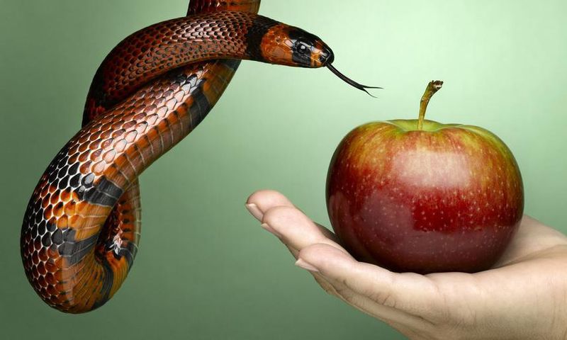 7 Red Flags It's Probably a Nutrition Scam