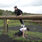 James Charles, Markiplier, CrankGamePlays Obstacle