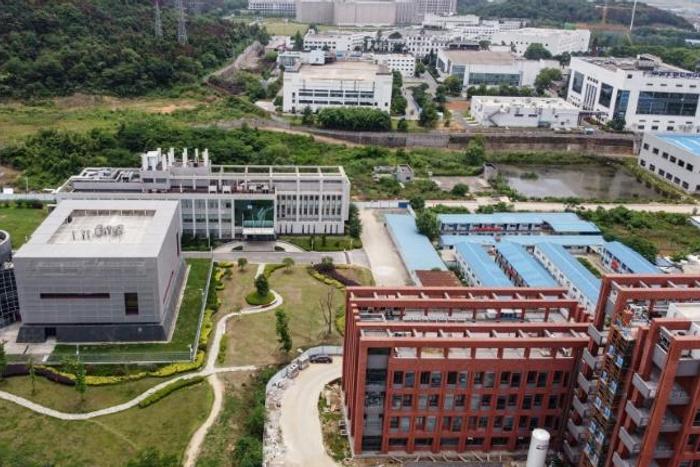 The director of the Wuhan Institute of Virology told a Chinese state broadcaster that the lab has three live strains of bat coronavirus on-site, but that claims the coronavirus could have leaked from the facility were 'pure fabrication'