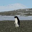 Almost all of the ice lost from Antarctica, and half of that from Greenland, has been triggered by warming ocean water speeding the movement of glaciers toward the sea