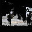 Tropical Storm Amanda, seen battering the coast of  El Salvador June 1, 2020, passed over Central America before reorganizing in the Gulf of Mexico to become Tropical Storm Cristobal June 2, 2020