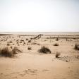 Lone and level sands: The Sahara