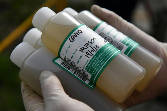 Researchers across the world have been tracing the spread of coronavirus through waste water and sewage, finding genetic traces from Brisbane to Paris and Amsterdam