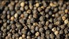 Dr. Pimple Popper Popped a 'Peppercorn' Blackhead
