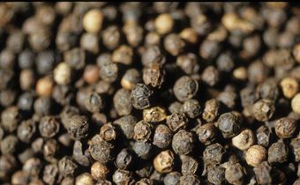 Dr. Pimple Popper Popped a 'Peppercorn' Blackhead