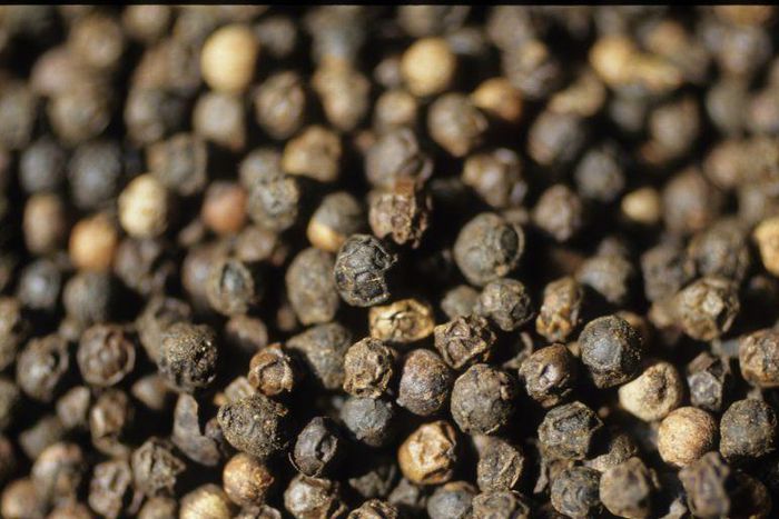 Dr. Pimple Popper Popped a 'Peppercorn' Blackhead