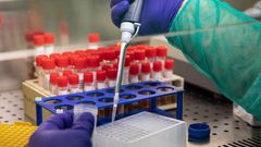 Where Did Novel Coronavirus Originate?