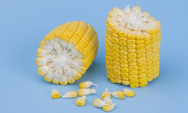 Dr. Pimple Popper Squeezes a 'Corn Kernel' Cyst