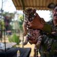 A Bengal tiger born last month in a Mexico zoo was named Covid