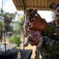 A Bengal tiger born last month in a Mexico zoo was named Covid