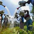 Ethiopians planted four billion trees last year and are aiming for five billion this year -- but there are concerns many seedlings don't grow