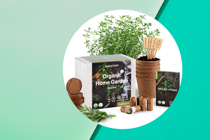 Grow Fresh Herbs At Home With This Starter Kit