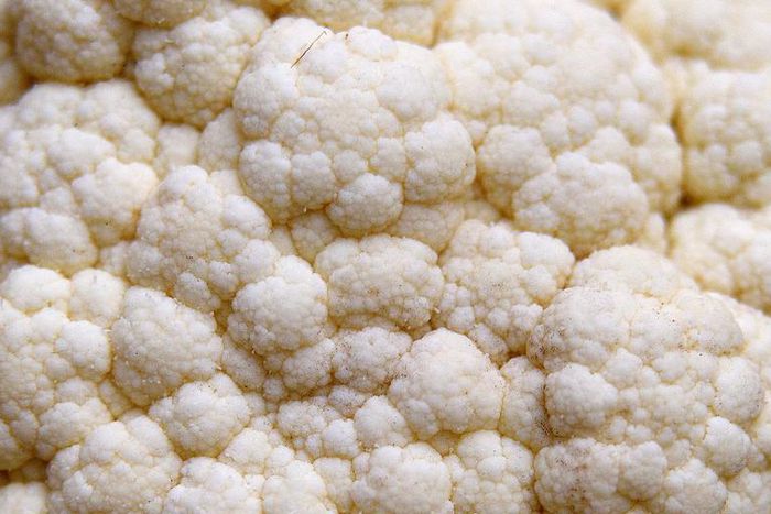 Dr. Pimple Popper Squeezed 'Cauliflower Rice' Free