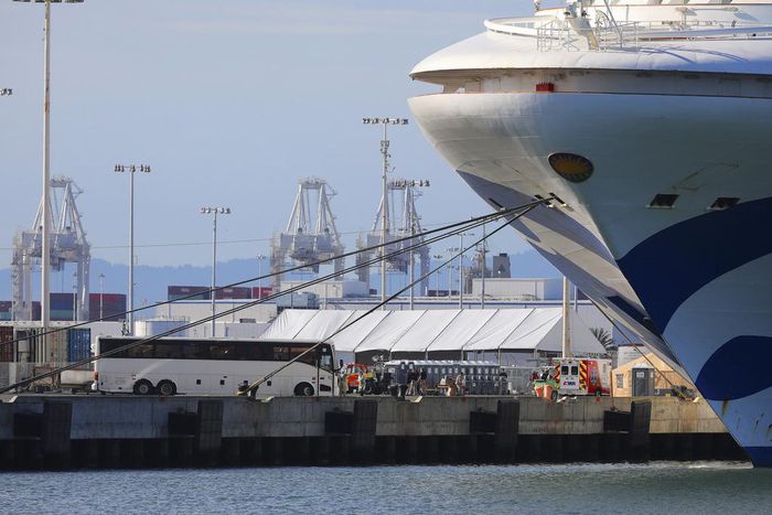 'God Knows How Many People We Infected': New Protocols Aim to Get Cruise Passengers Home