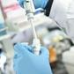 The new drug is being tested by scientists at China's Peking University