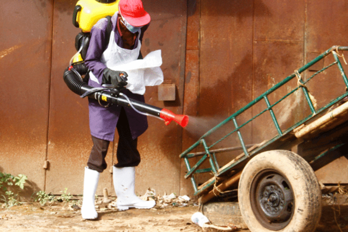 A local resident fumigates an area in Ruaka, Kiambu County (Photo: Courtesy)
