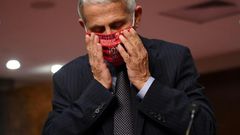 Anthony Fauci, director of the National Institute for Allergy and Infectious Diseases, warned Congress that the US was headed in the "wrong direction" on the pandemic