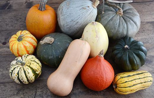 Choosing the best squash (Co+op, welcome to the table)