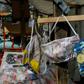 North Rhine-Westphalia, Germany's most populous state and one of the hardest hit, paid 14.7 million euros for some 10 million masks in March 2020 only to discover they did not exist