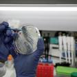 Scientists around the world are racing to develop a coronavirus vaccine