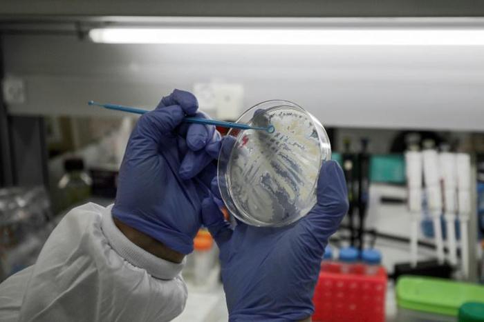 Scientists around the world are racing to develop a coronavirus vaccine