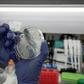 Scientists around the world are racing to develop a coronavirus vaccine