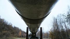 The International Energy Agency requires its members to hold emergency oil stocks equivalent to at least 90 days of net oil imports