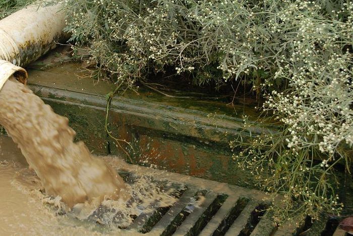 Dr. Pimple Popper Drains Huge Green Cyst