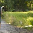 Man Runs a Mile Run Every Day For 30 Days