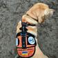 Deep Purple, wearing a dog collar insignia "Service Dog" and "Hero's Friend," gets taken for a walk by his handler Oleksandr, a 38-year-old war veteran, who spent a year on the frontline and credits the animal with saving his life