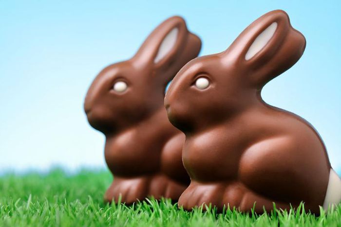 Dr. Pimple Popper Pops 'Chocolate Bunny' Cyst