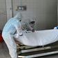 Employees lift the body of a COVID-19 victim before loading it into the furnace at the New Sonapur Hindu crematorium in Dubai