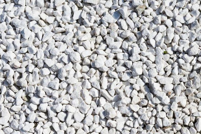 Dr. Pimple Popper Removes 'Pebble' Forehead Growth