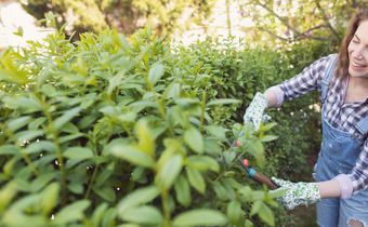 How To Get Rid Of Ticks From Your Body (And Yard!)