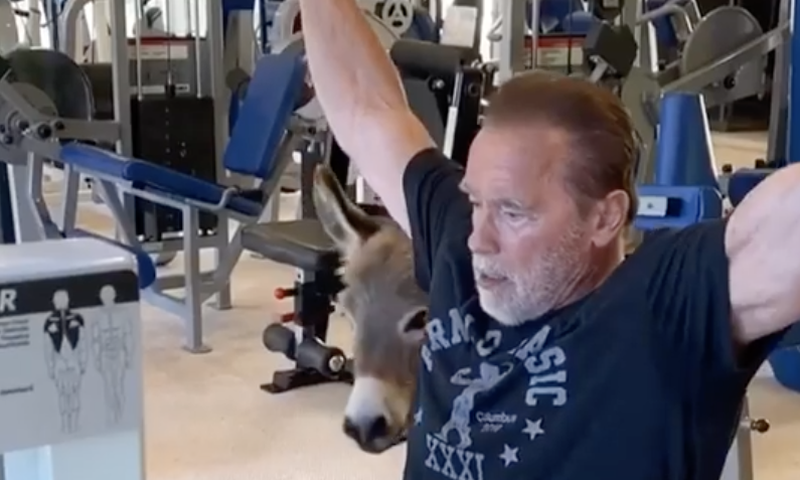 Arnold Schwarzenegger Shares Home Workout Video
