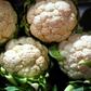 Getting ahead. New Zealanders are complaining about the price of the humble cauliflower, which are now selling for nearly US$8 each