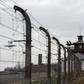 Far-right provocations are a growing problem at the sites of former Nazi concentration camps in Germany, such as Buchenwald