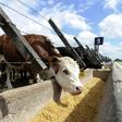 Argentine farmers are still able to operate despite the coronavirus pandemic but they are finding it increasingly difficult to export their produce