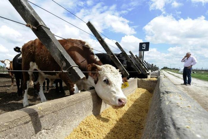 Argentine farmers are still able to operate despite the coronavirus pandemic but they are finding it increasingly difficult to export their produce