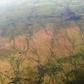 Intertwining hoof paths by a million migrating antelope across the underexplored landscape of South Sudan
