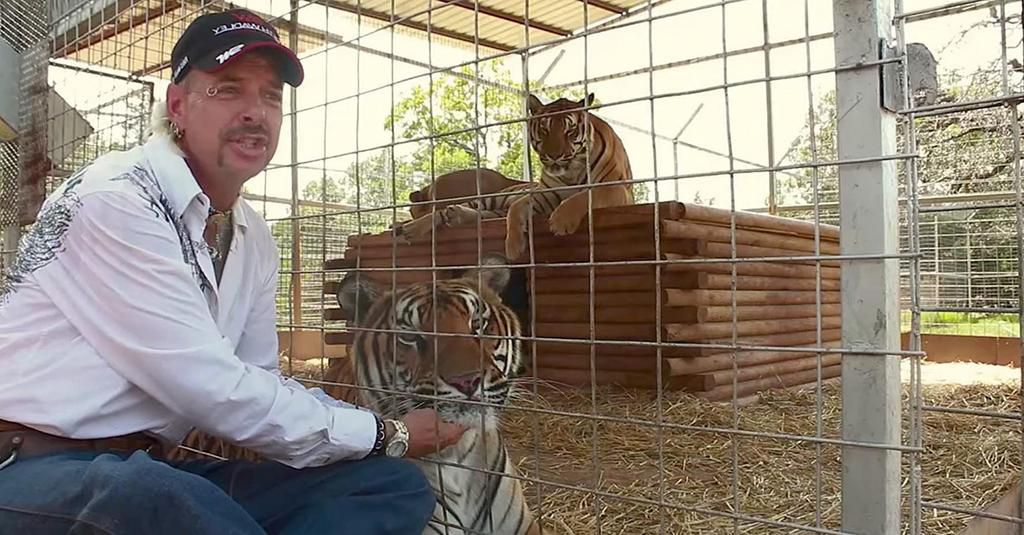 40 Things You Probably Didn't Know About 'Tiger King'