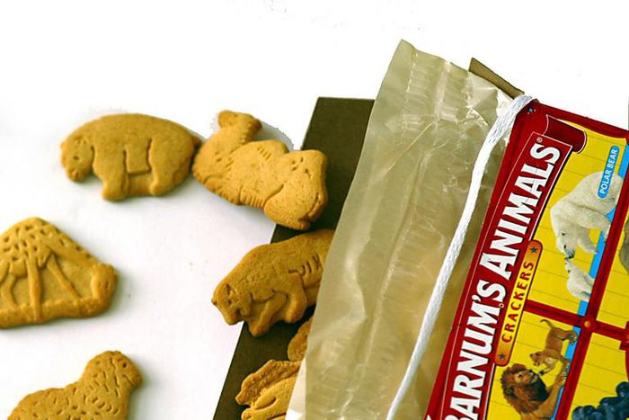 Dr. Pimple Popper Pops 'Animal Cracker' Lipomas