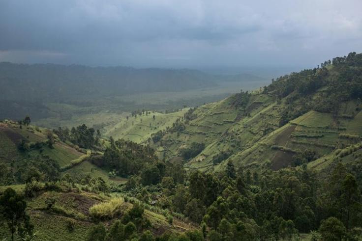 The Congo Basin Forest, the world's second largest rainforest after the Amazon, covers two-thirds of DR Congo's surface